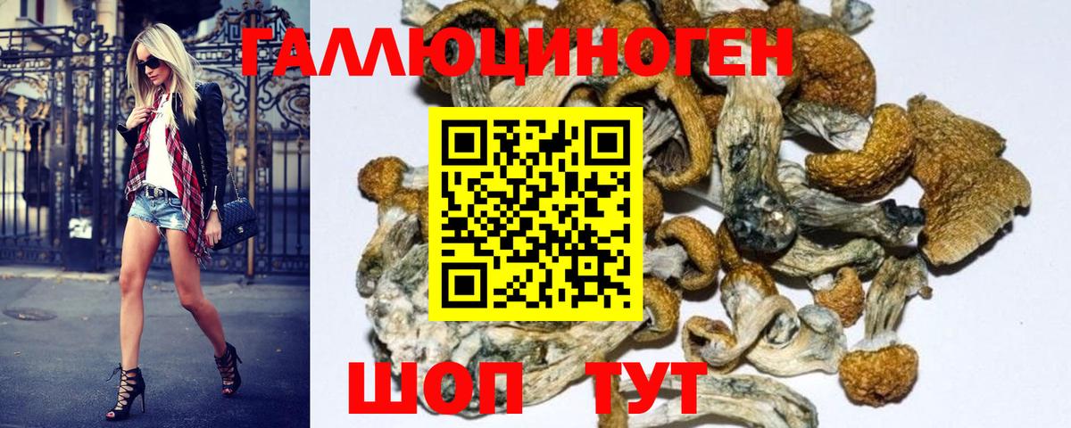 Галлюциногенные грибы Cubensis  Галлюциногенные грибы Psilocybe  Вход с VPN  Ишимбай 